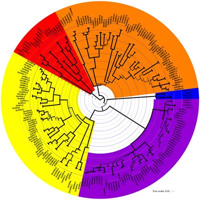 Genome-Wide Analysis of the Aquaporin Gene Family in Chickpea (Cicer arietinum L.)